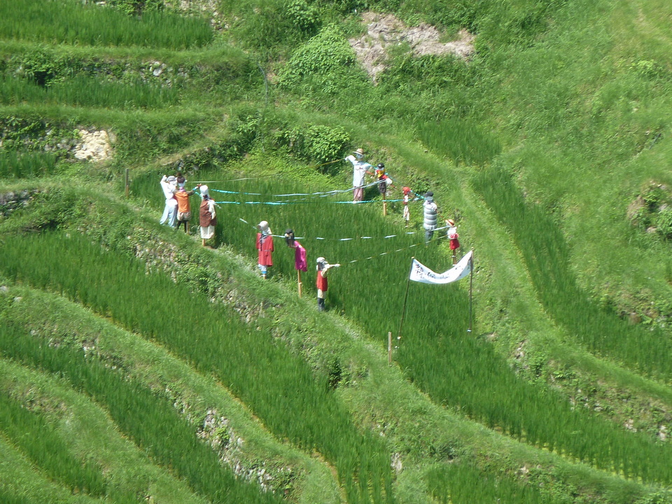 P1040562_mid.jpg