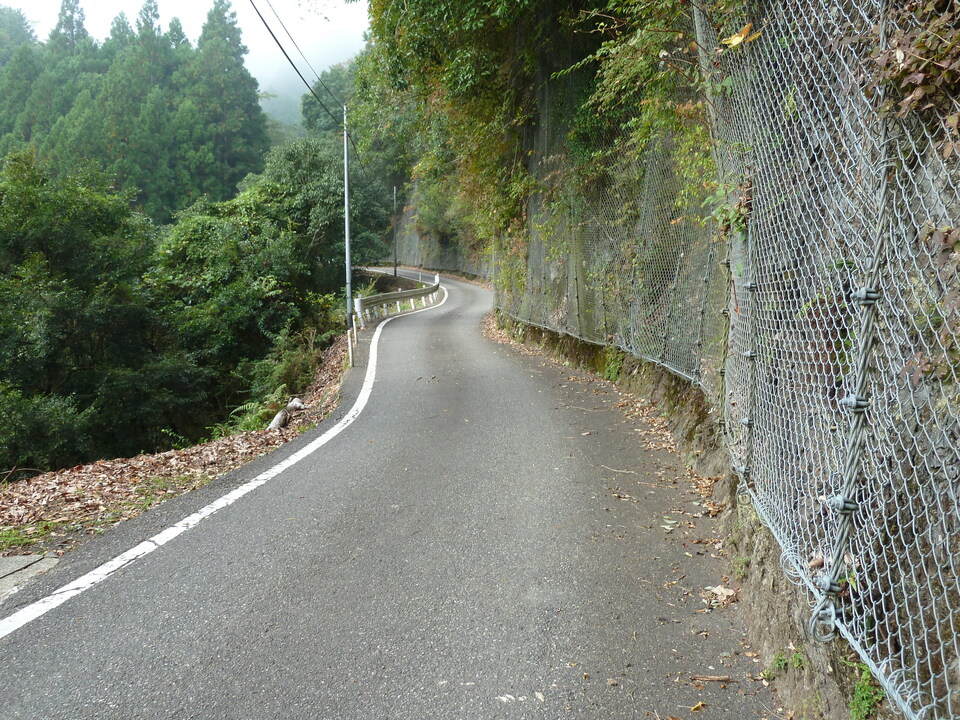 P1050698_mid.jpg