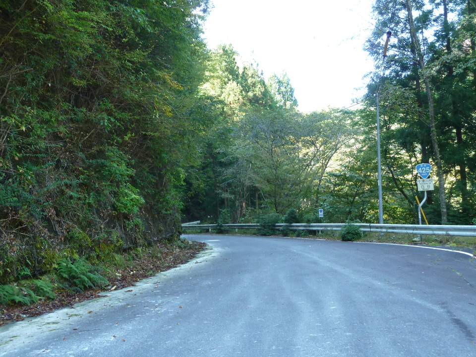 P1050762_mid.jpg