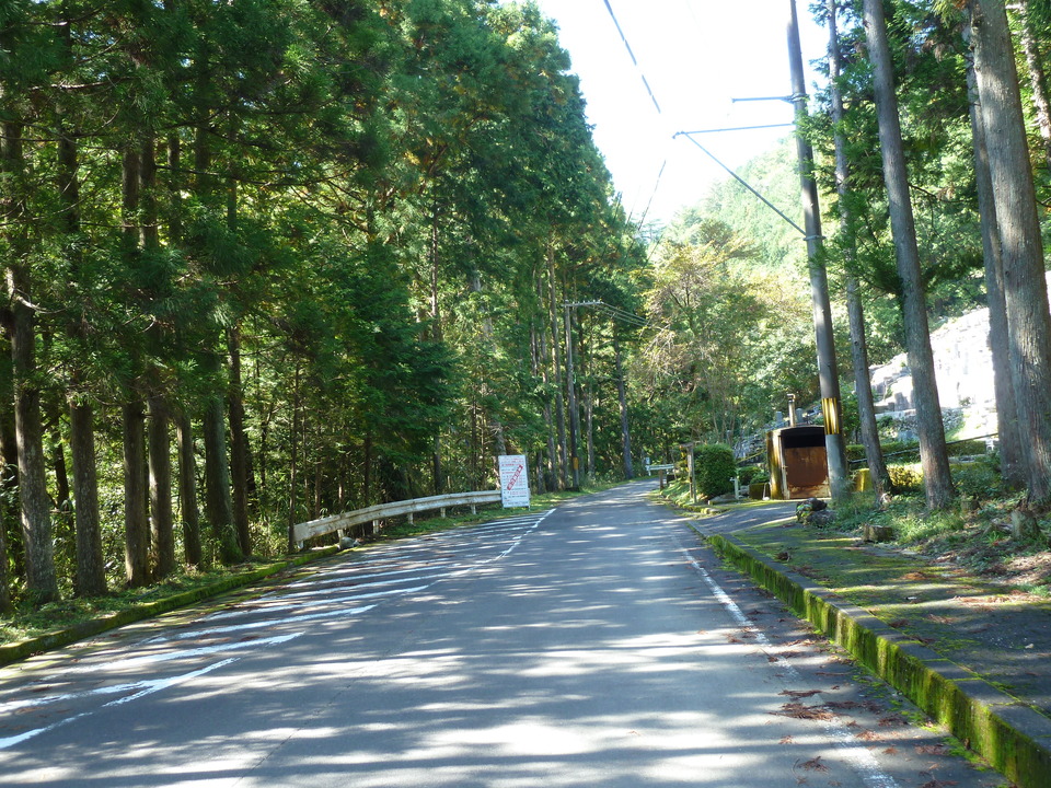 P1050791_mid.jpg