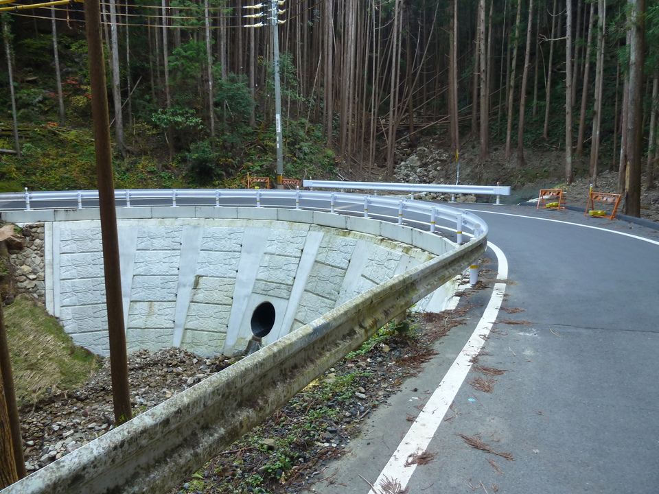 P1050808_mid.jpg