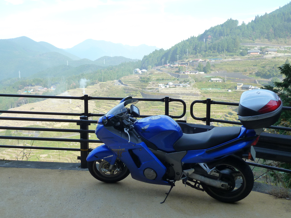 P1050816_mid.jpg