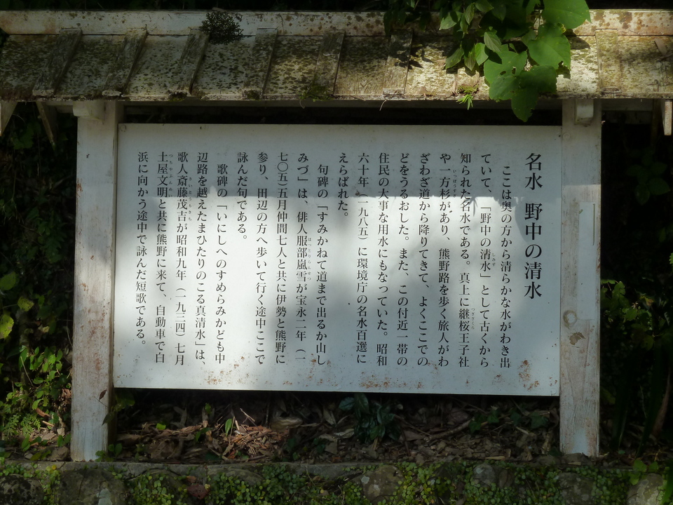 P1050855_mid.jpg