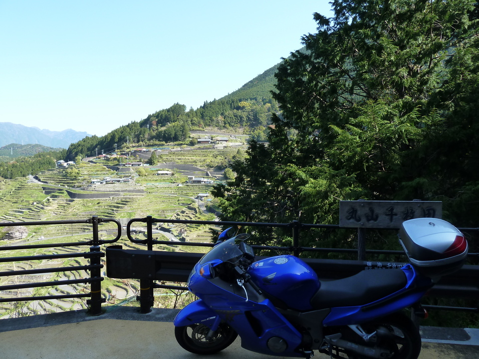 P1060291_mid.jpg