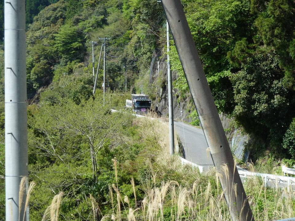 P1060313_mid.jpg