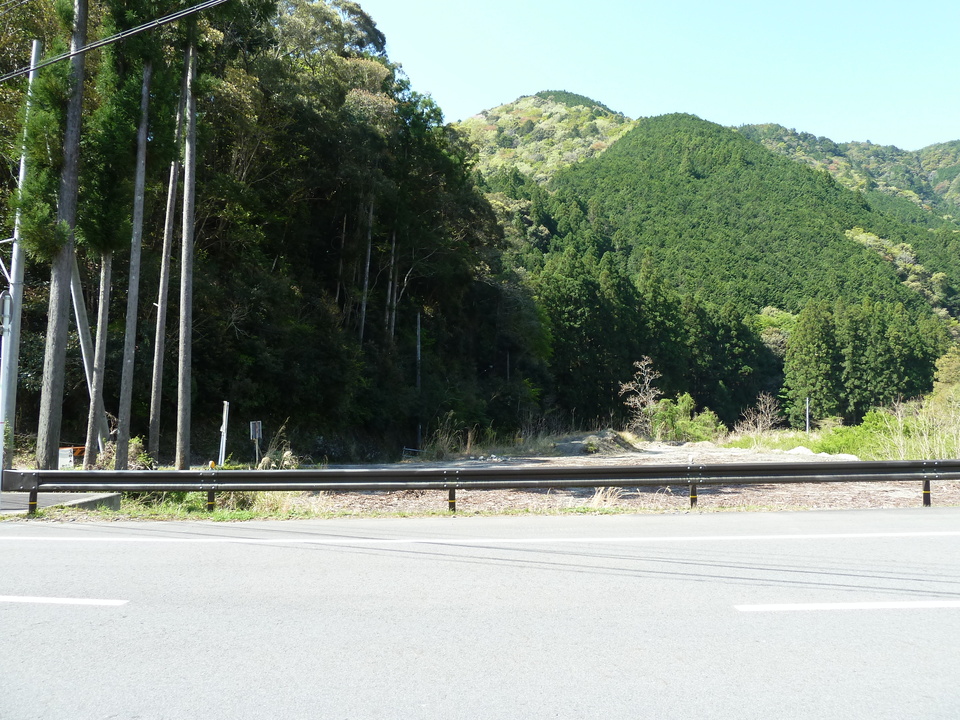 P1060332_mid.jpg