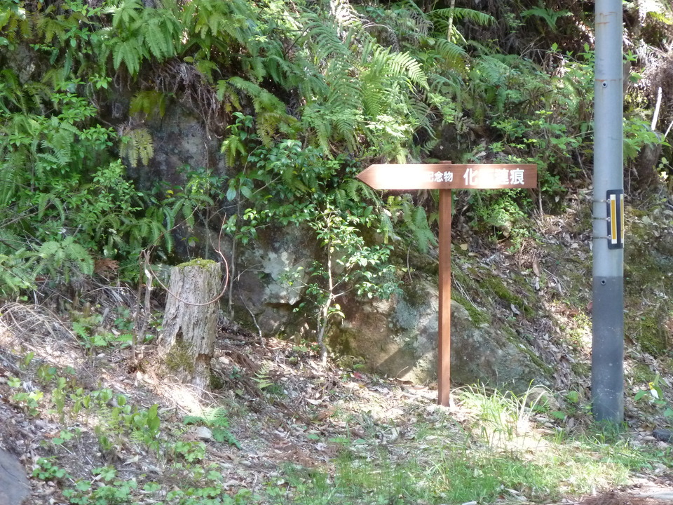 P1060384_mid.jpg