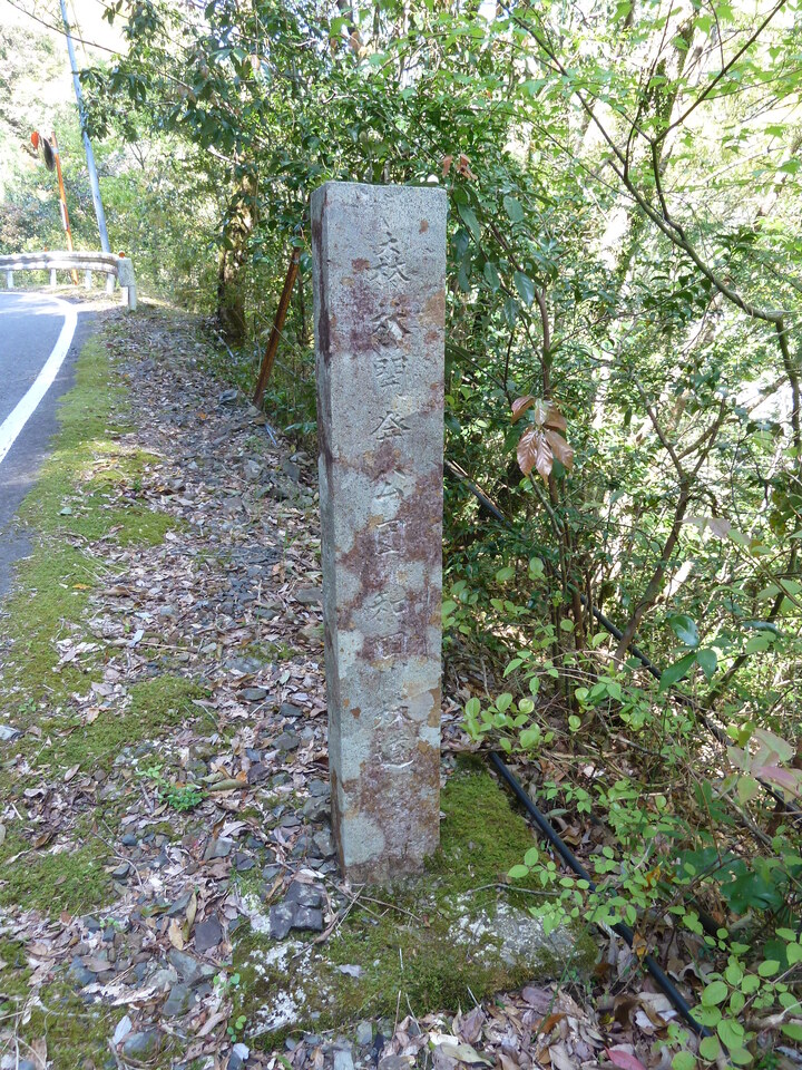 P1060390_mid.jpg