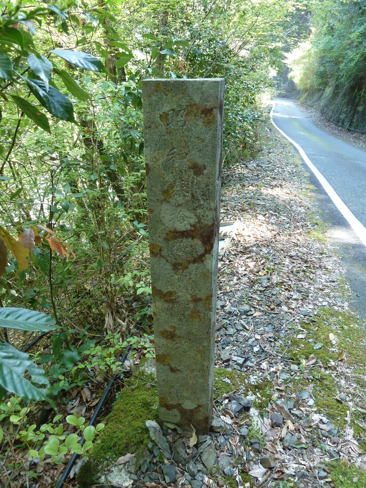 P1060391_mid.jpg