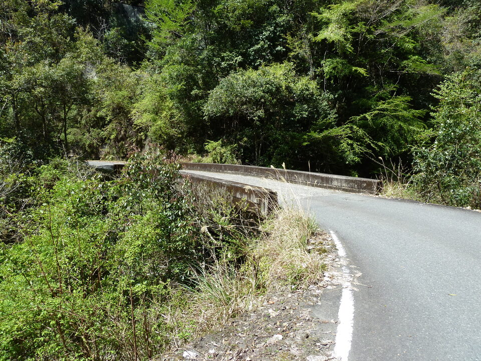P1060413_mid.jpg