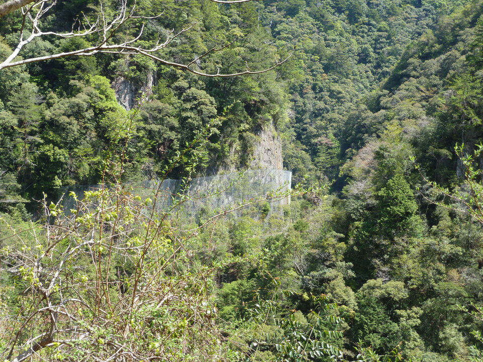 P1060417_mid.jpg