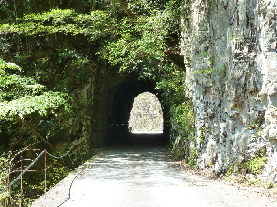 P1060423_mid.jpg