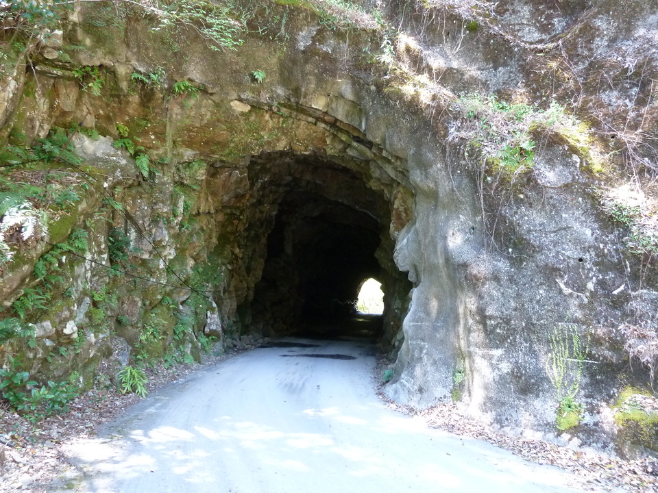 P1060447_mid.jpg