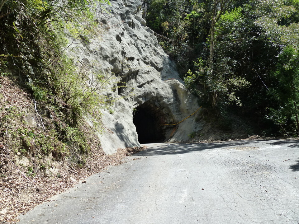 P1060450_mid.jpg