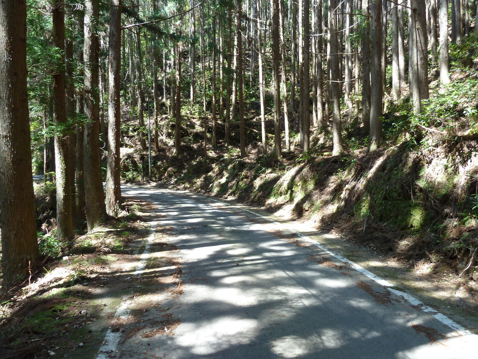 P1060469_mid.jpg