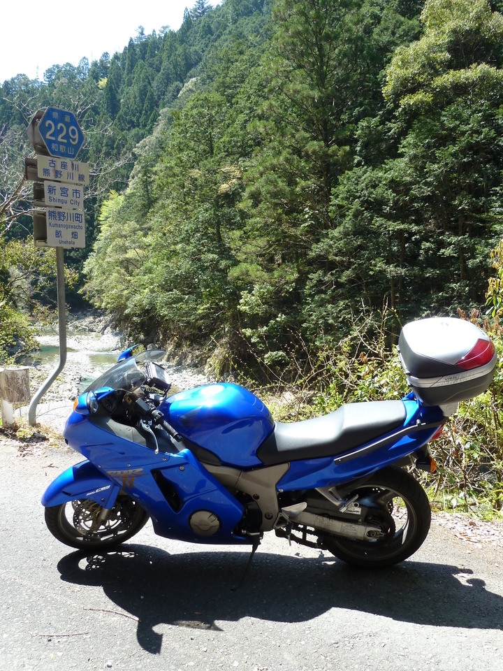 P1060495_mid.jpg