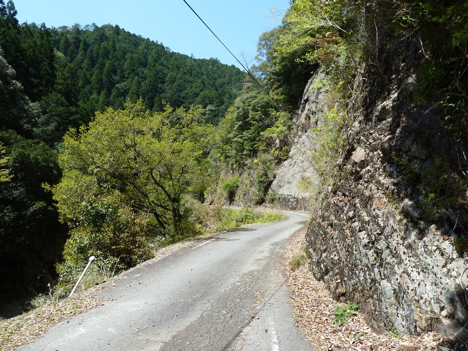 P1060498_mid.jpg