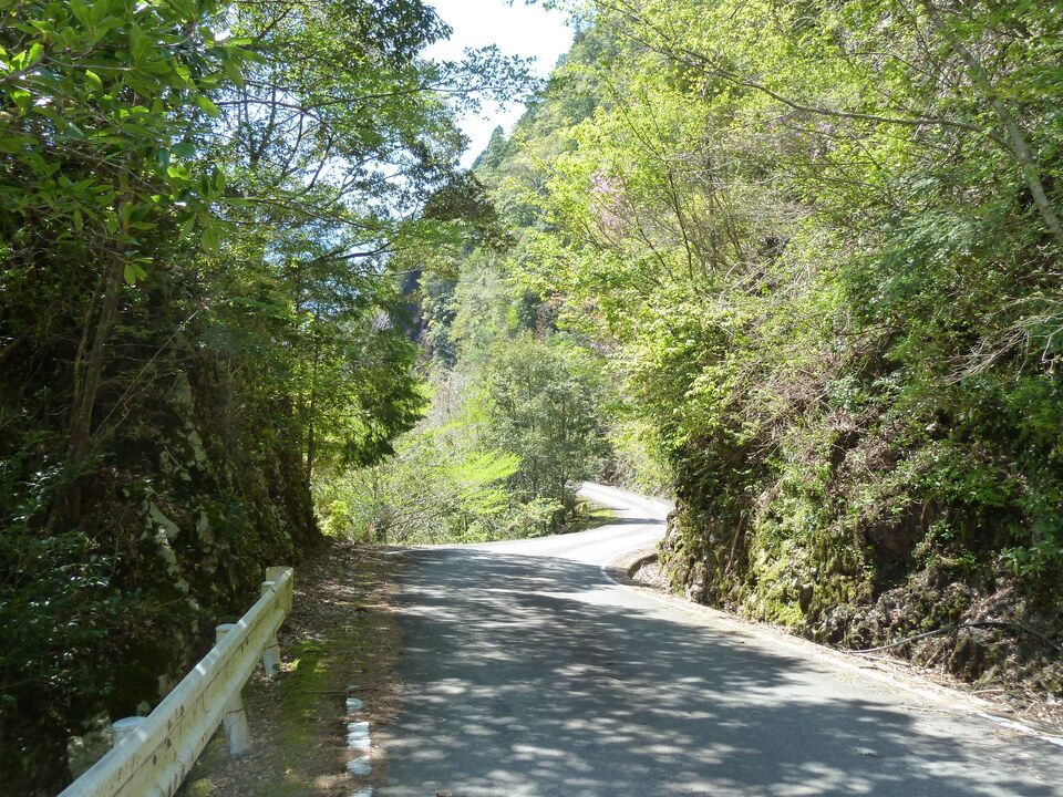 P1060512_mid.jpg
