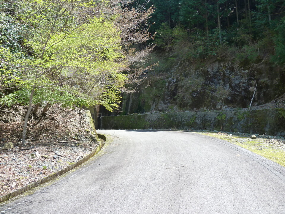 P1060552_mid.jpg