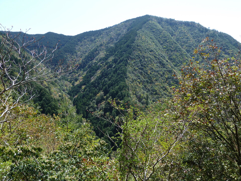 P1060556_mid.jpg