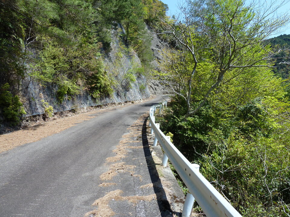 P1060557_mid.jpg