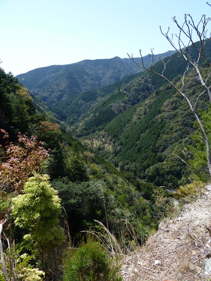 P1060559_mid.jpg