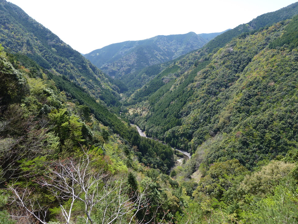 P1060563_mid.jpg
