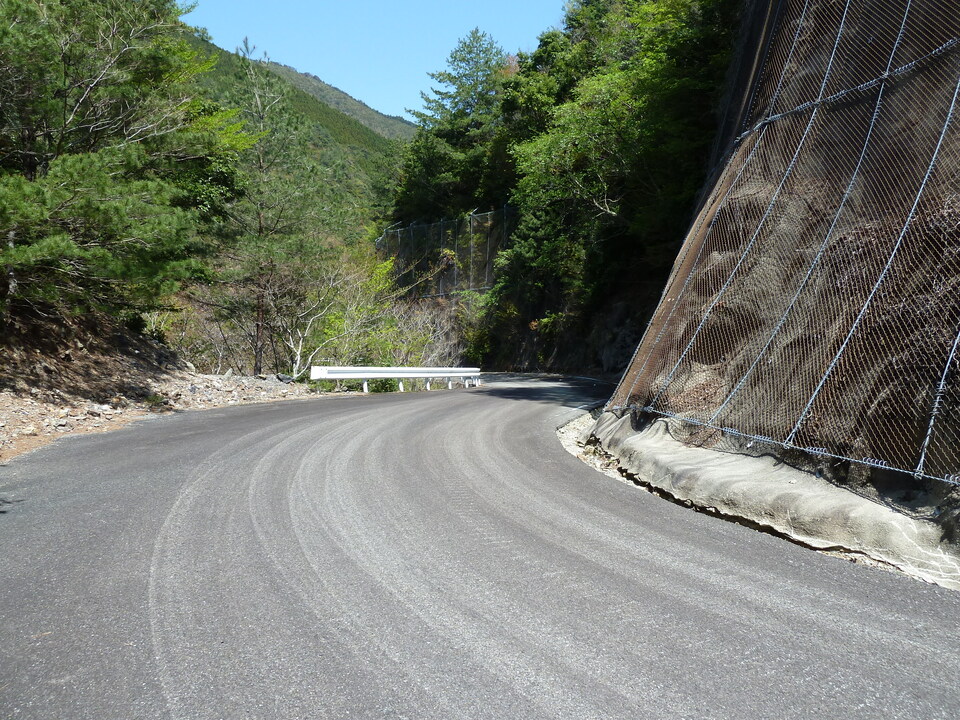 P1060565_mid.jpg