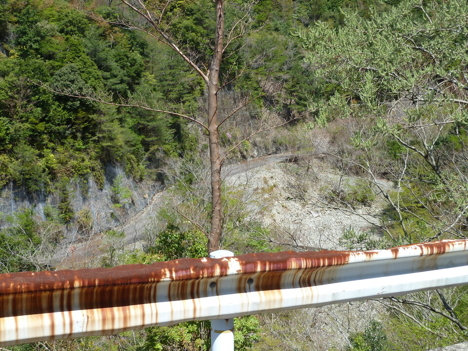P1060568_mid.jpg