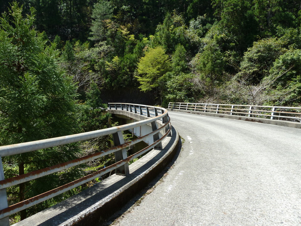 P1060570_mid.jpg