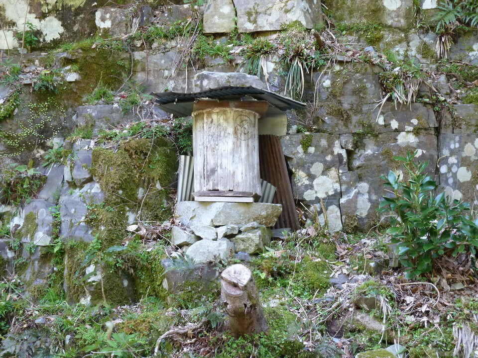 P1060574_mid.jpg
