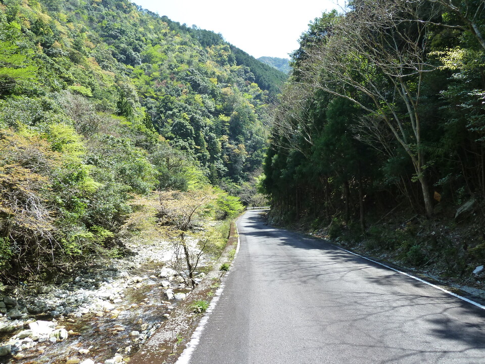 P1060575_mid.jpg
