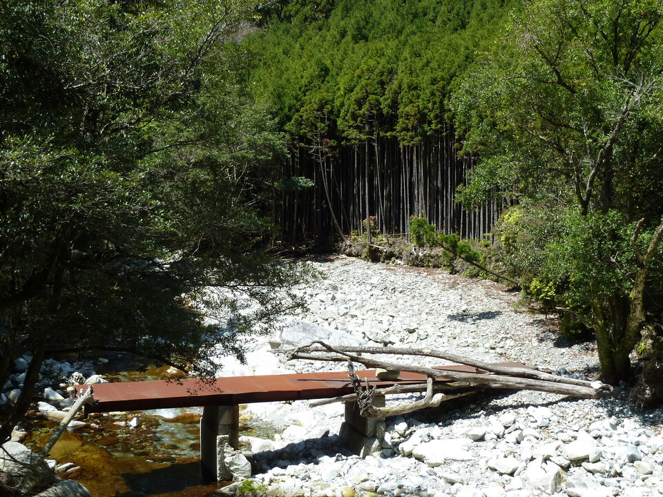 P1060576_mid.jpg