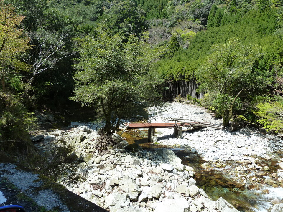 P1060577_mid.jpg