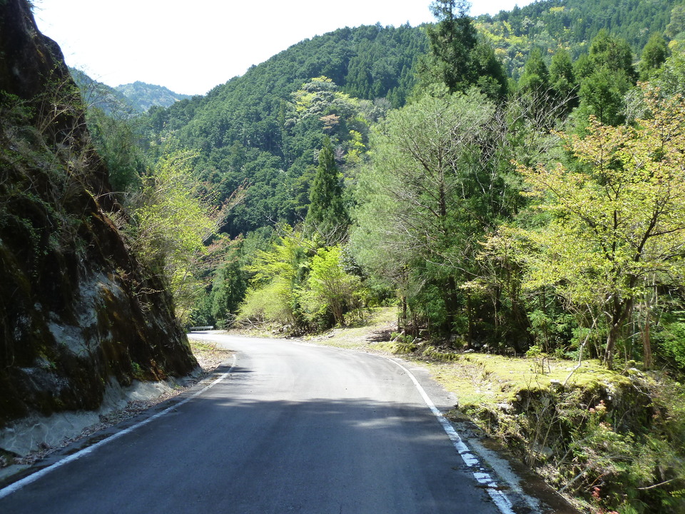 P1060578_mid.jpg