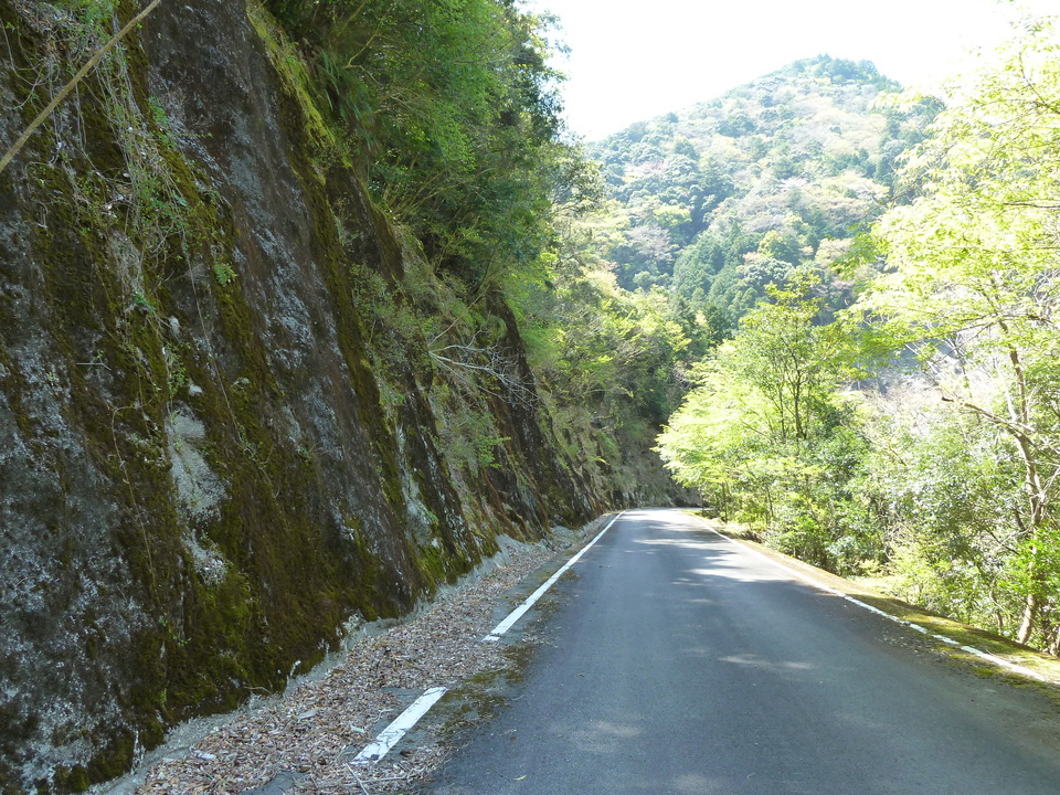 P1060580_mid.jpg