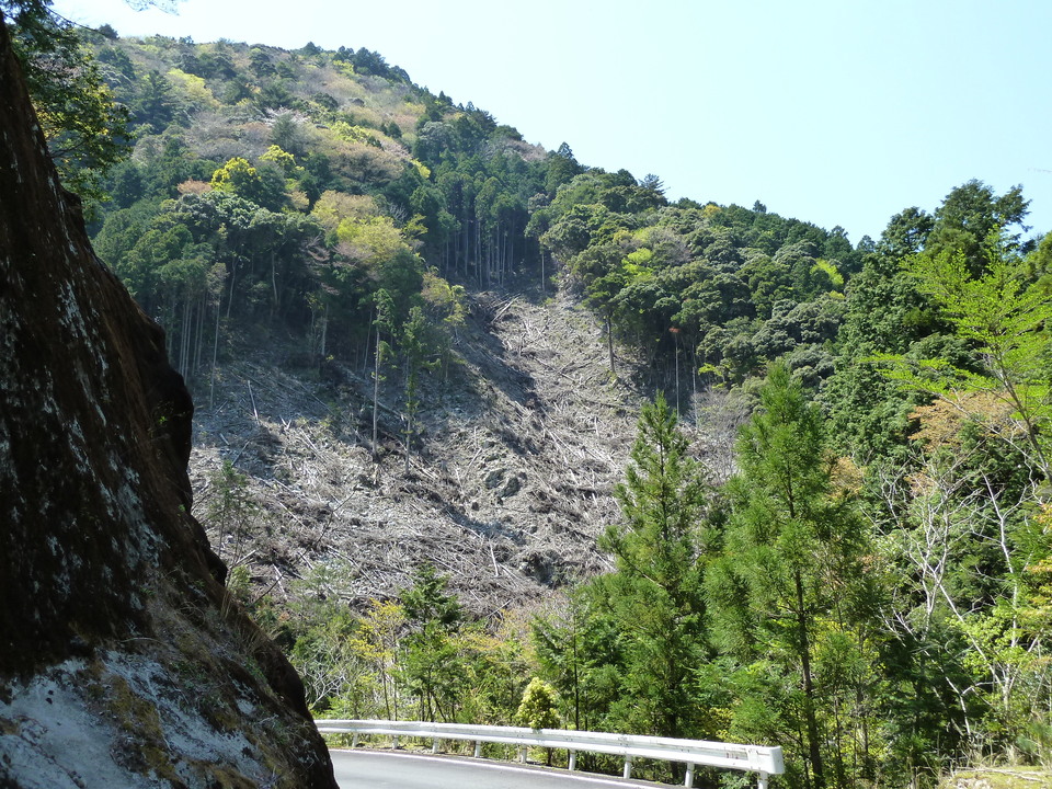 P1060581_mid.jpg