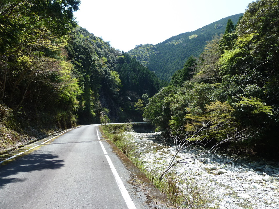 P1060582_mid.jpg