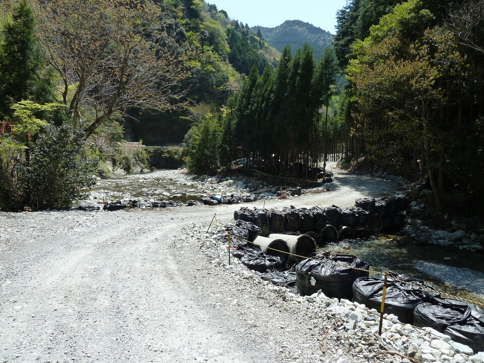 P1060586_mid.jpg