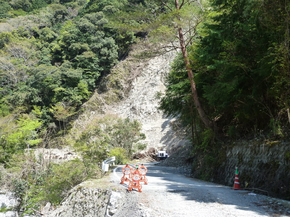 P1060591_mid.jpg