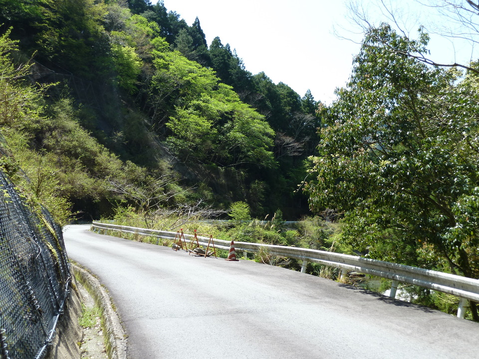 P1060594_mid.jpg