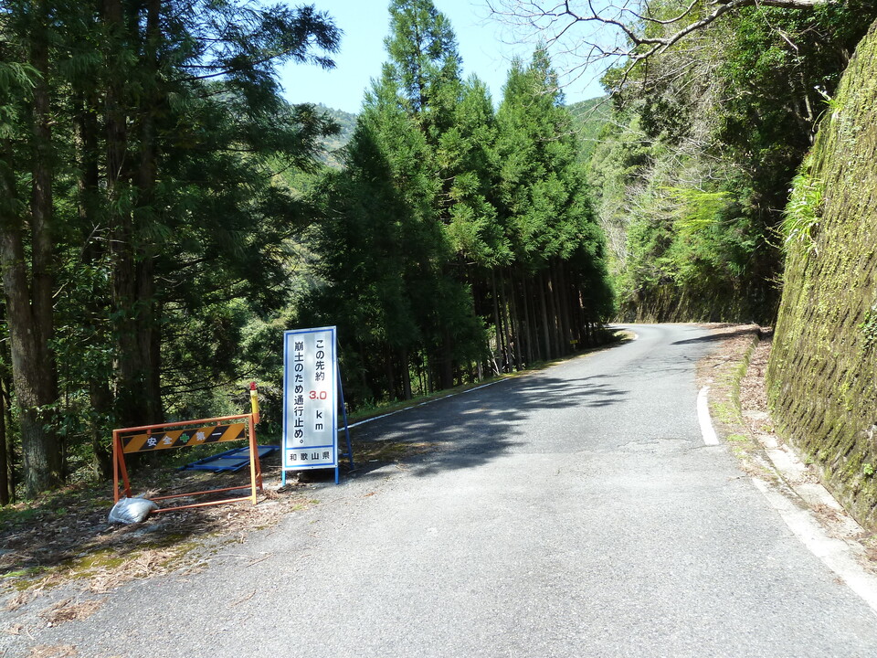 P1060595_mid.jpg