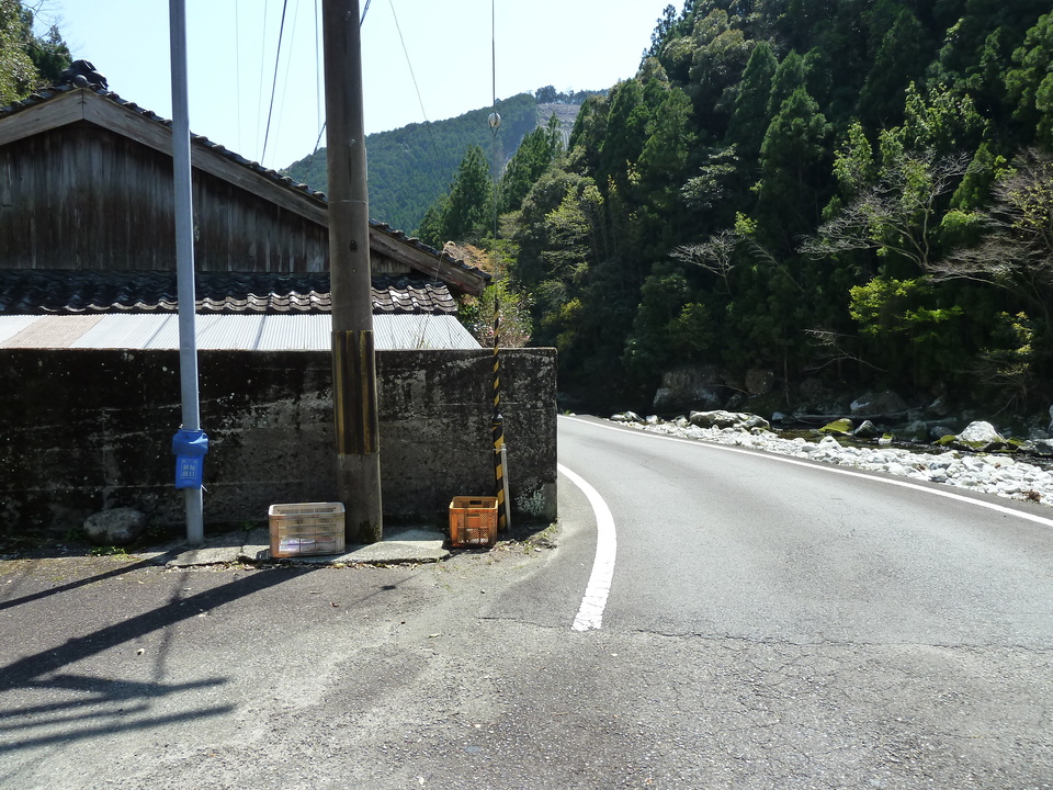 P1060599_mid.jpg