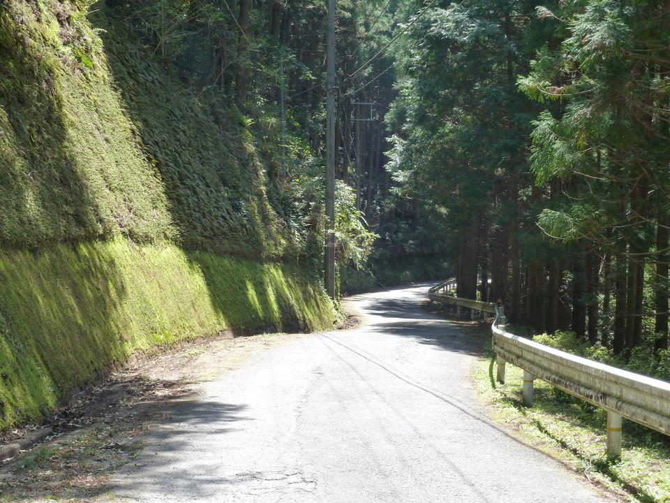 P1060606_mid.jpg