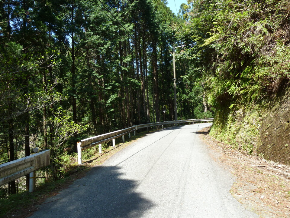 P1060607_mid.jpg