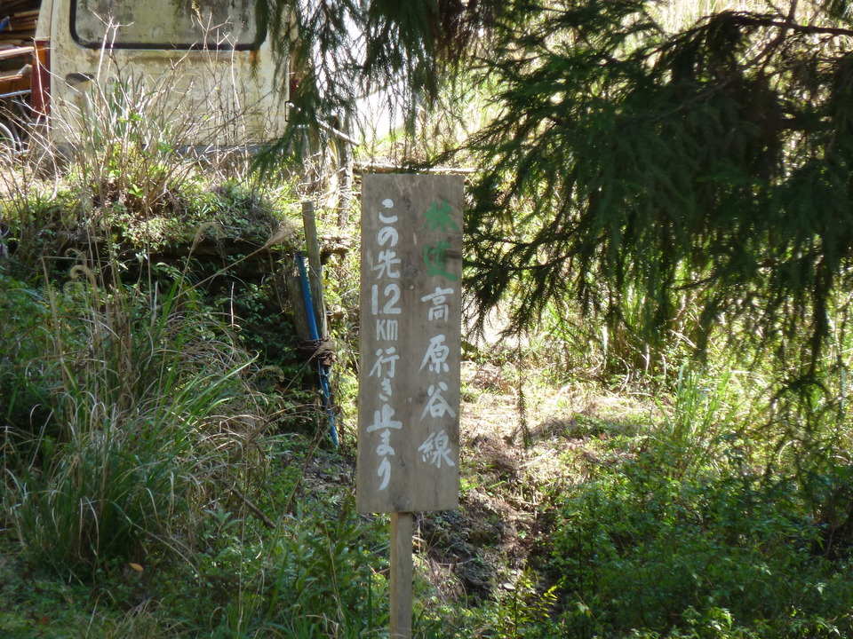 P1060609_mid.jpg