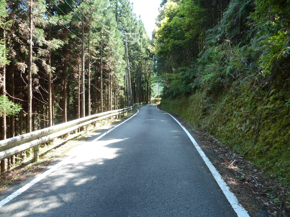 P1060611_mid.jpg