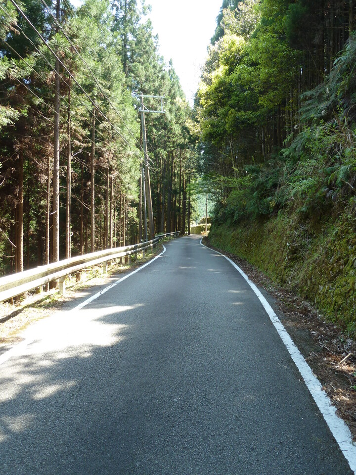 P1060612_mid.jpg