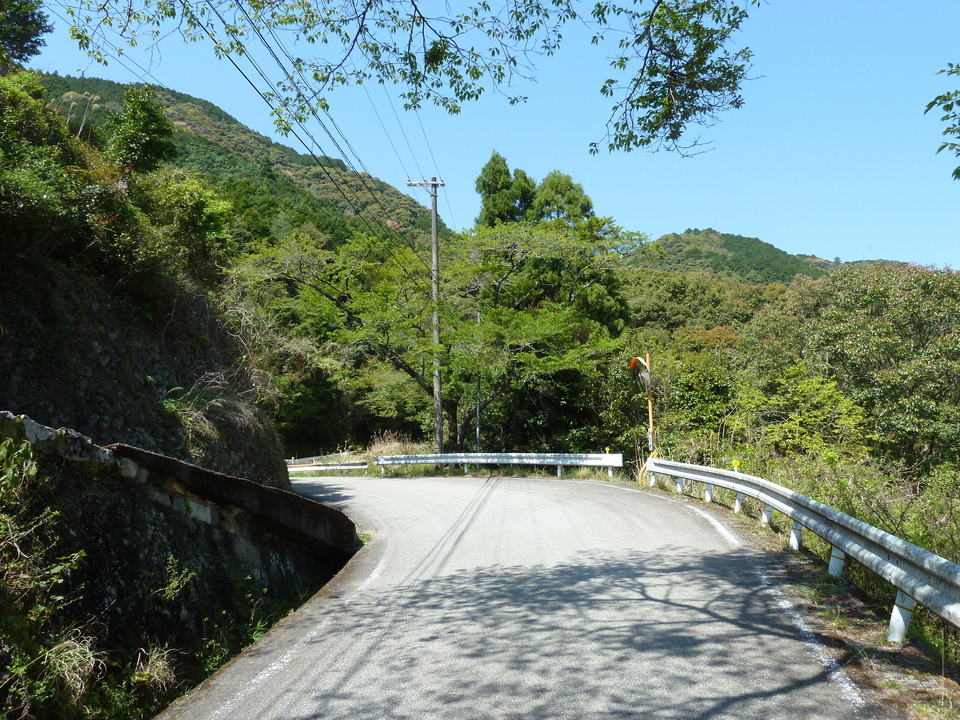 P1060622_mid.jpg