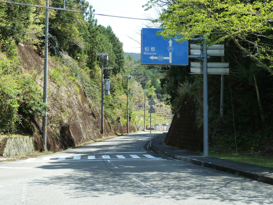 P1060633_mid.jpg